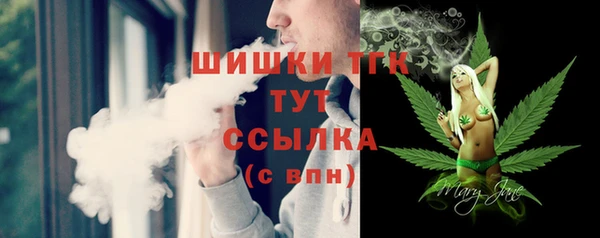 мескалин Заводоуковск