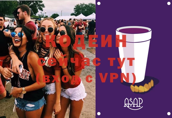 меф Ельня