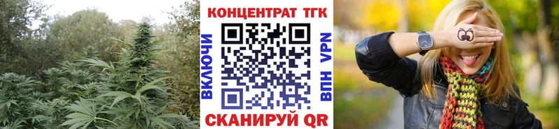 Купить где Магас Дистиллят ТГК гашишное масло