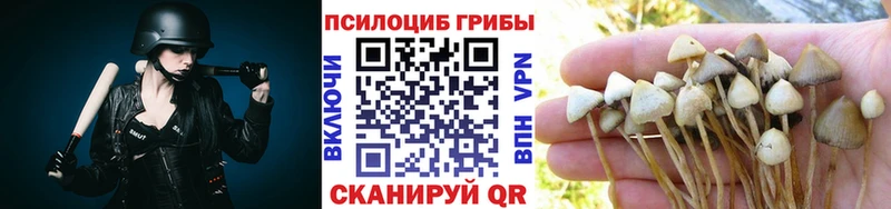 Псилоцибиновые грибы MAGIC MUSHROOMS  Купить закладки  Магас 